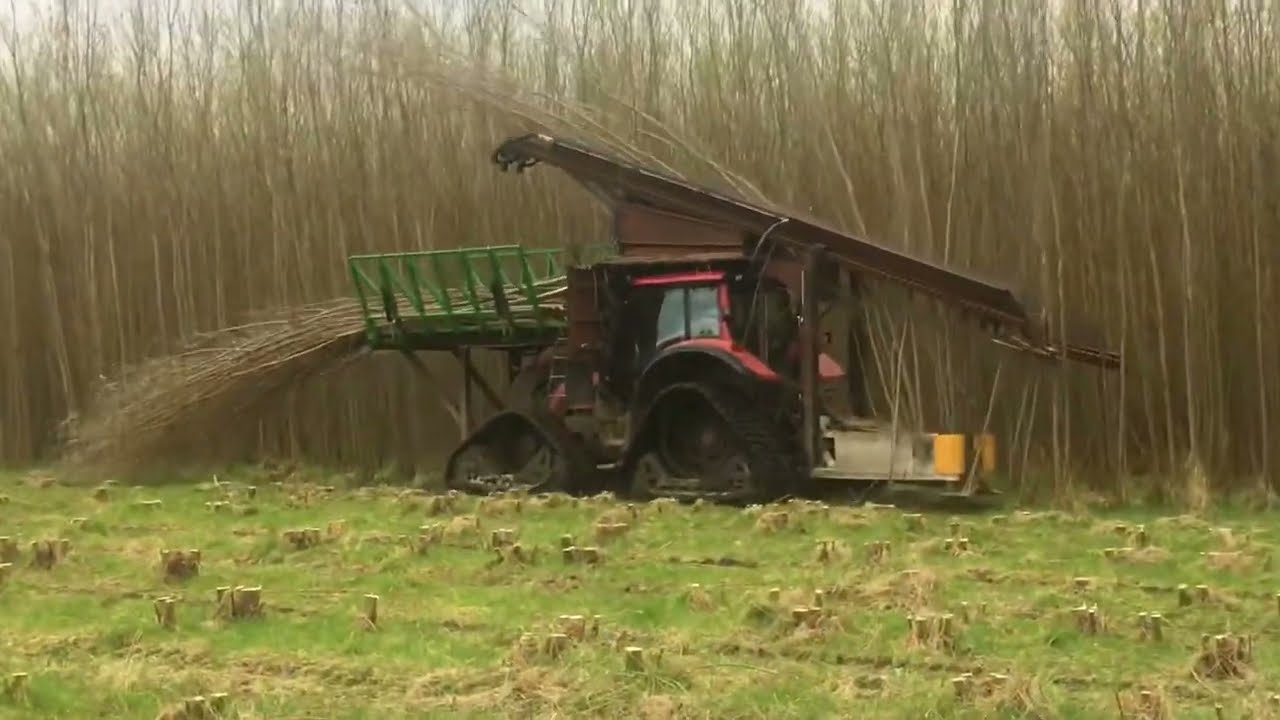 Valtra Whole stem willow harvester Salix Coppicing
