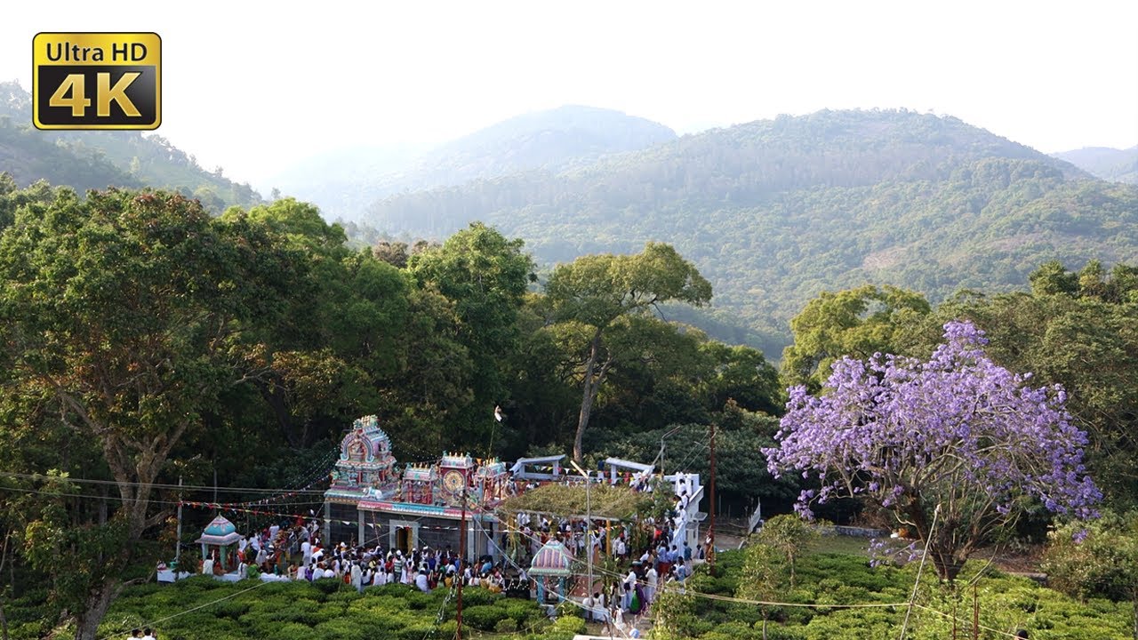 நீங்கள் இதுவரை பார்த்திராத ஒரு திருவிழா | Ooty Kengarai Hatty | Village Festival | Nilgiris – India