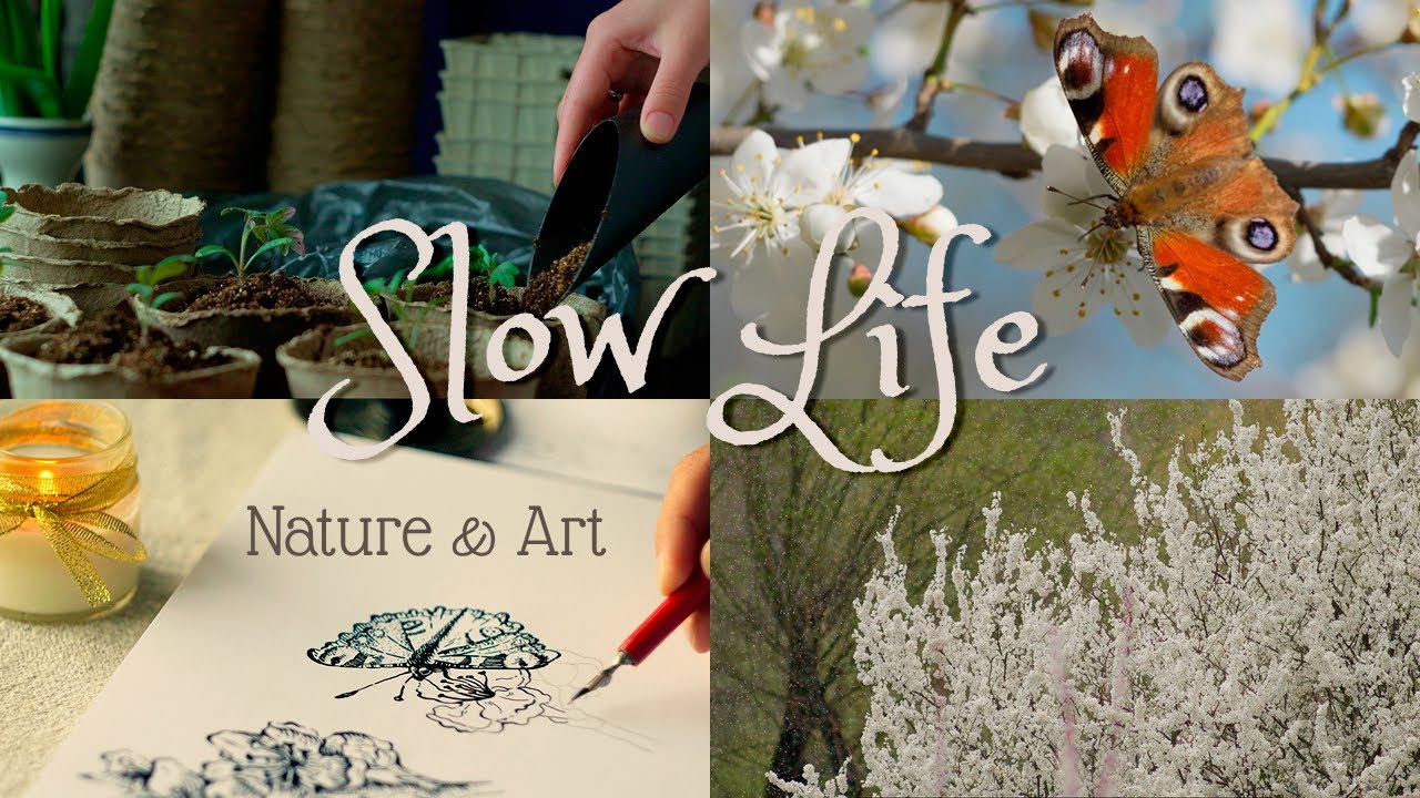 Spring Serenity - Embracing Slow Life and Nature's Beauty Through Art