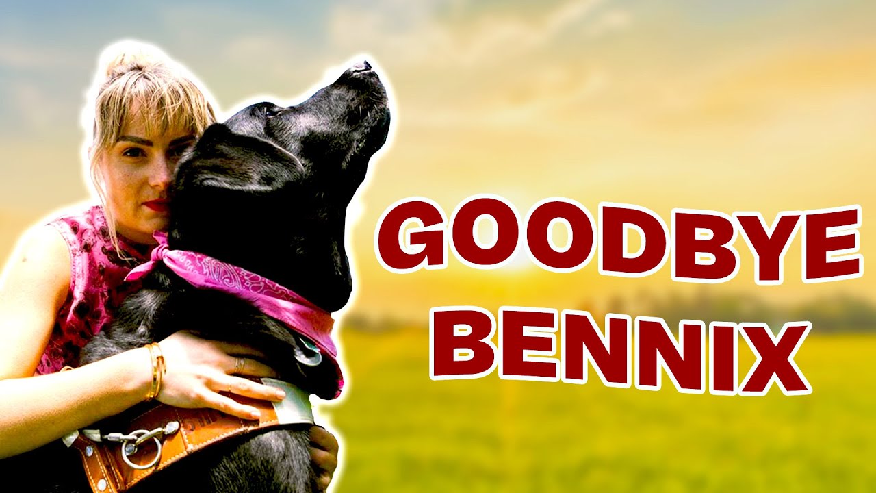 Being Reunited w/ Bennix & Saying A Final Goodbye…