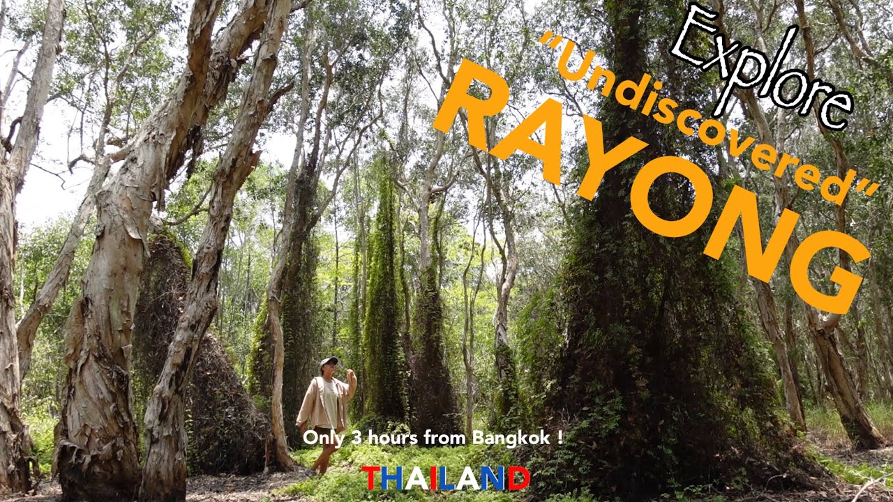 Explore “undiscovered” Rayong Thailand | 3 hours from Bangkok !