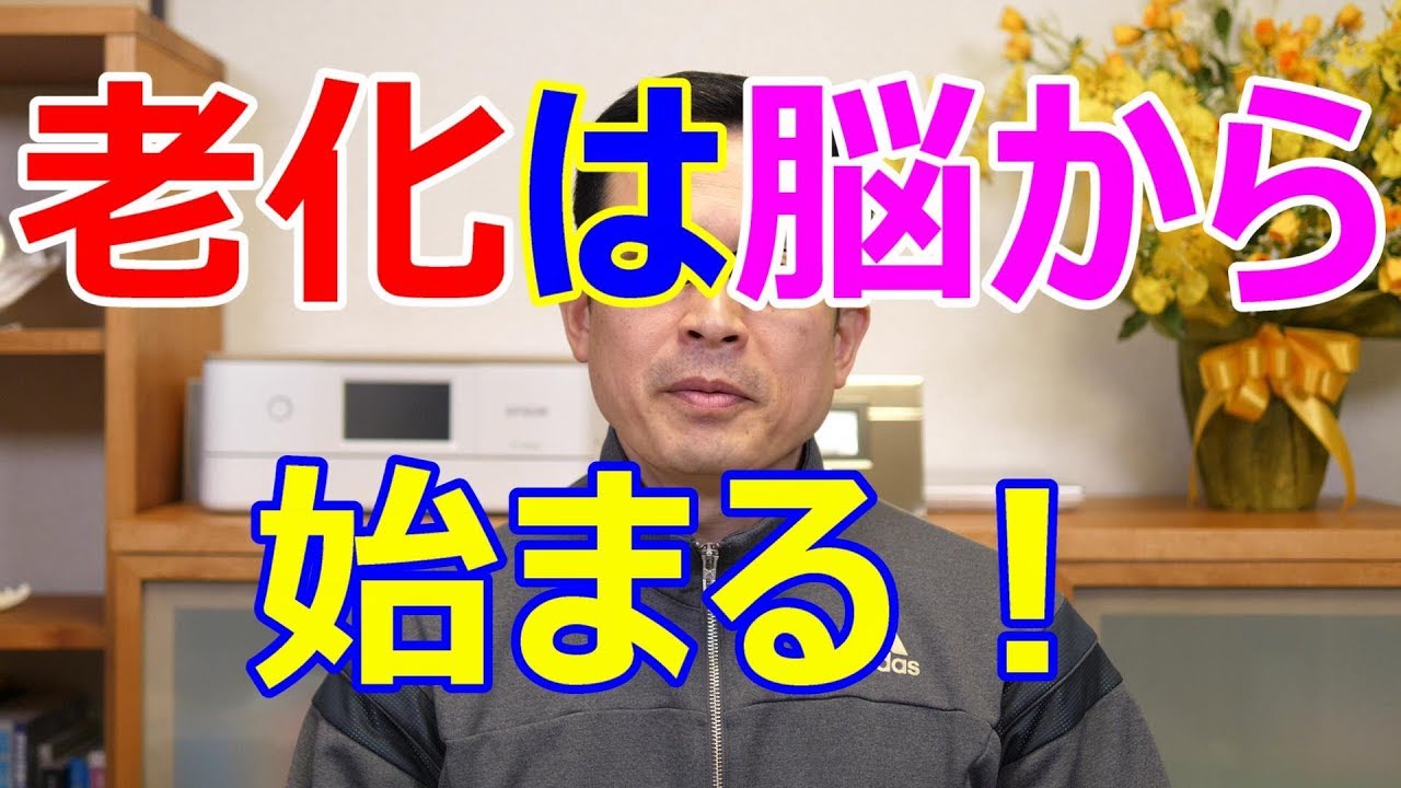 老化は脳から始まる！【札幌 谷井治療室】