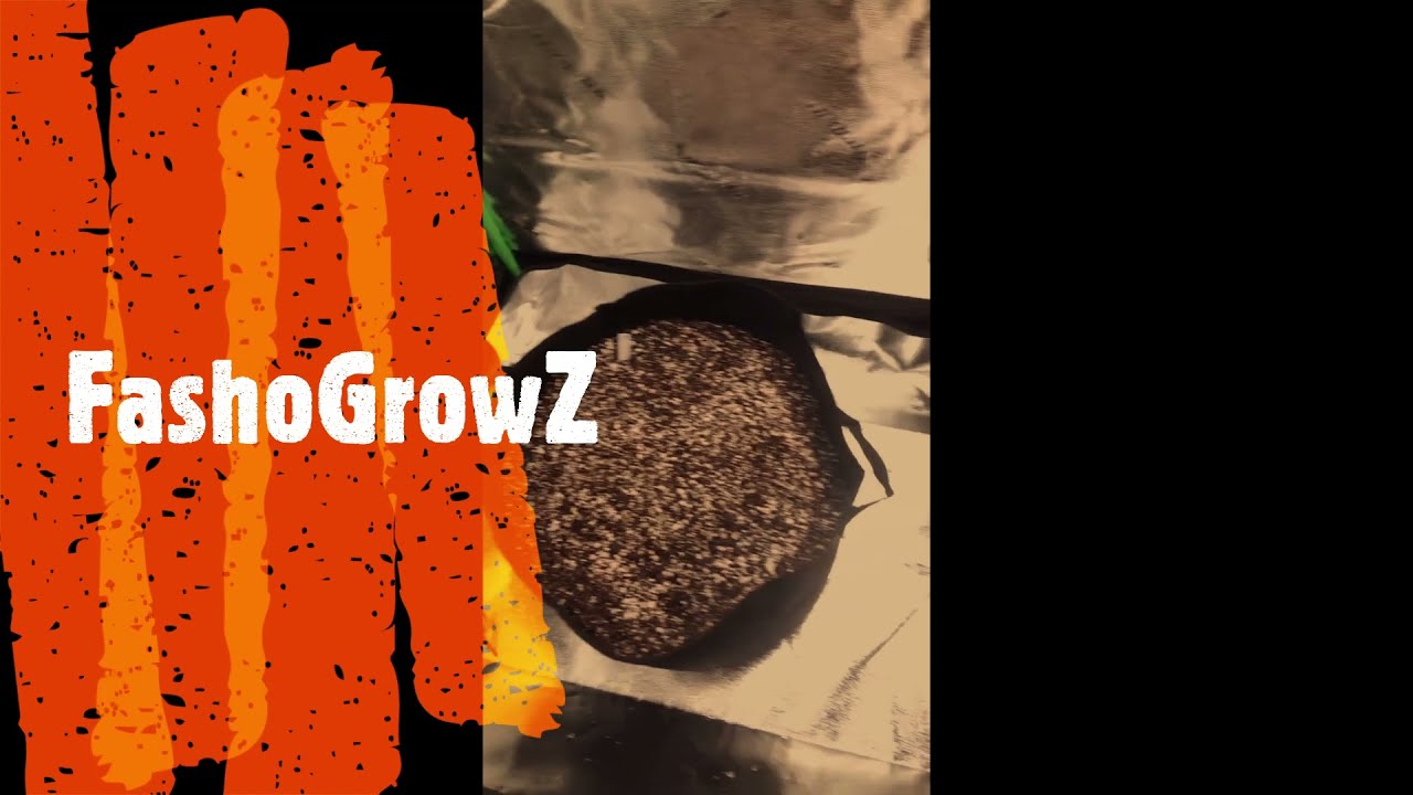 FashoGrowZ - New Channel Everyone!