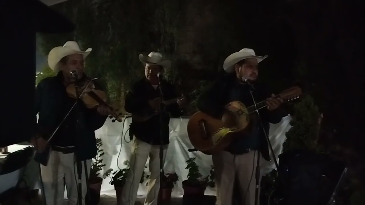 Trio Esperanza Huasteca el cielito lindo 