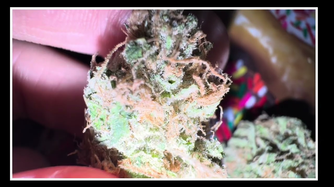 GOLDEN GOAT By Local Roots REVIEW @ClearlyReviews