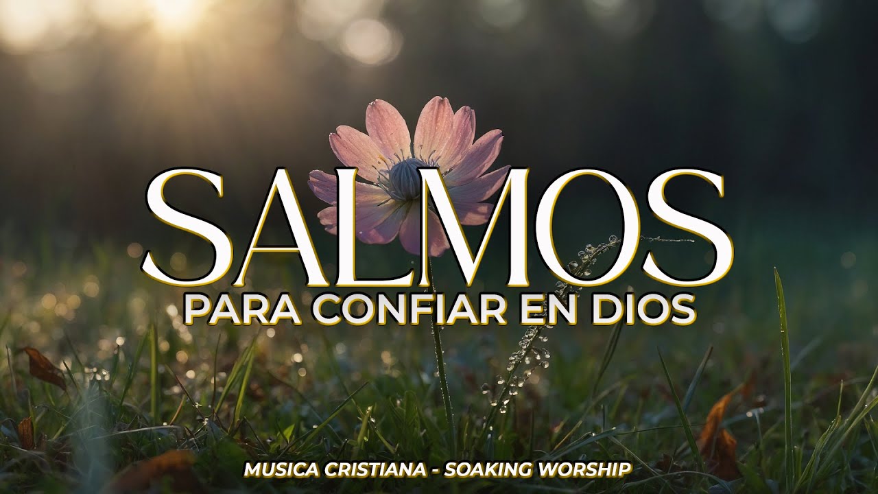 SALMOS CANTADOS del Rey David 👑 | GRATITUD y ADORACIÓN 🙏 | Música Cristiana |  SEÑOR EN TI CONFIO 🕊️