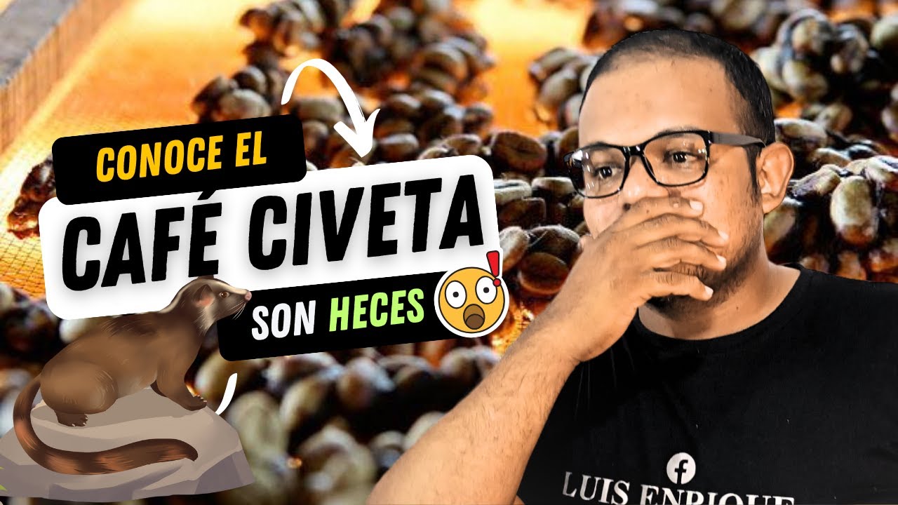 Conoce el Caf&eacute; Civeta! El m&aacute;s CARO y EXTRA&Ntilde;O del mundo!
