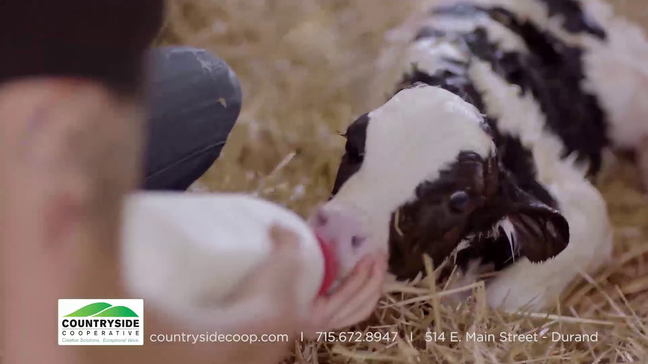 June Dairy Month - Thank You Dairy Farmers