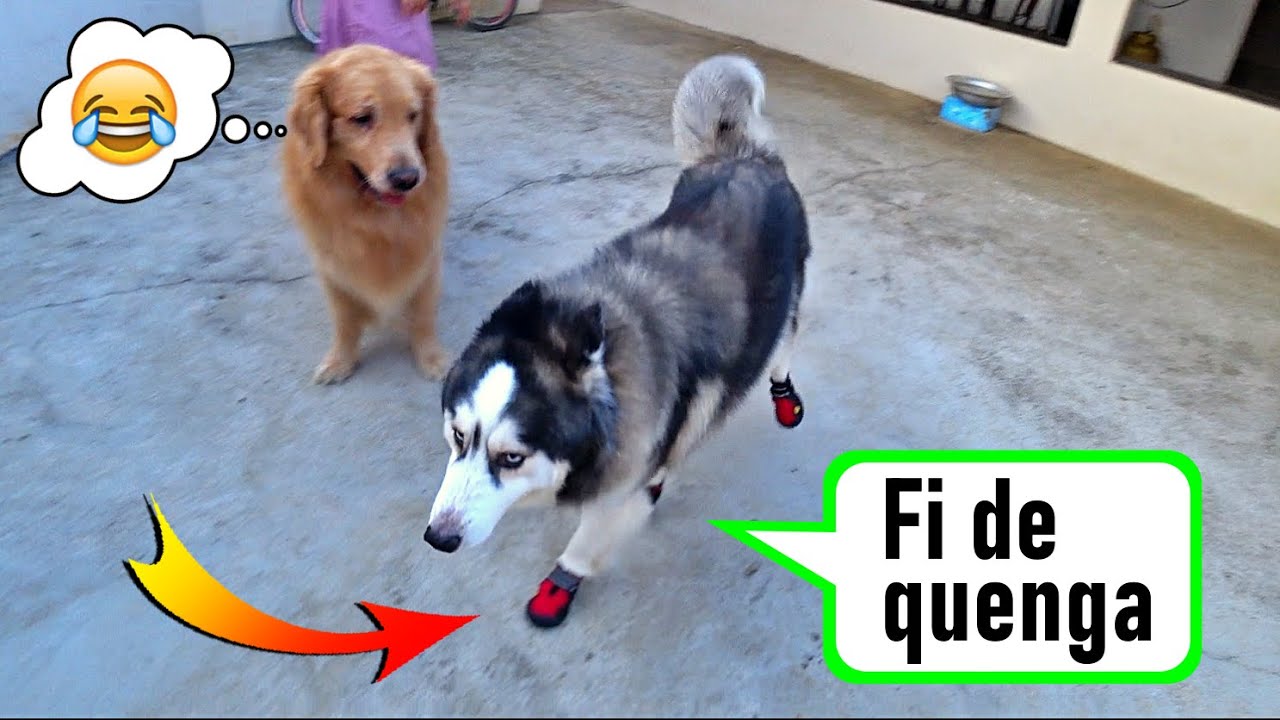 Coloquei botas nele - Olhem o gingado do sujeito