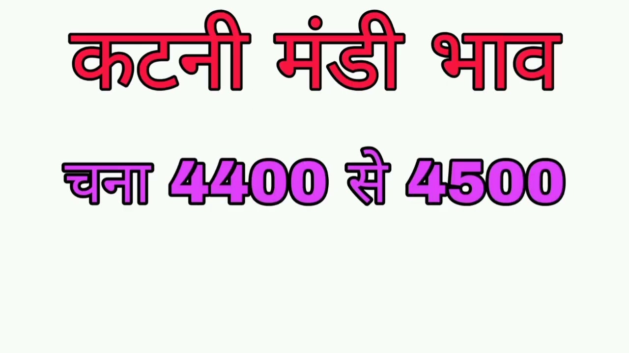 #Shorts#commodityrate katni mandi bhao chana , gehu , batri ,sarso ,masoor, rahar ,moong