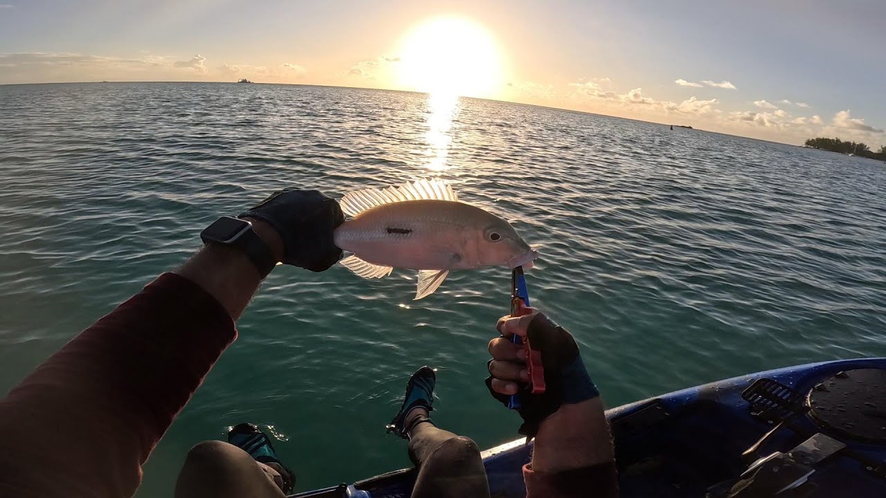 Sunset Dropshot at Mon Choisy- Winter fishing in Mauritius 2023