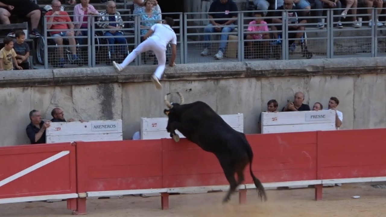Grand Prix De La Ville De Nimes Le 21 08 2025