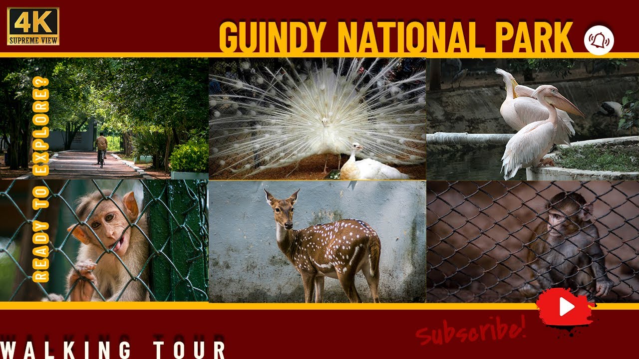 GUINDY NATIONAL PARK | Guindy Children park | Guindy park | Guindy National Park chennai | Tour