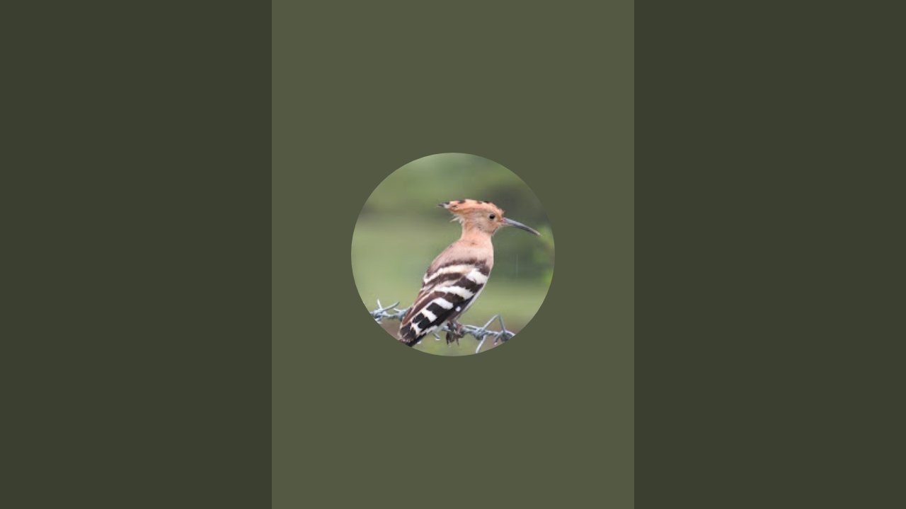 WE SUPPORT NATURE (WSN) is live!