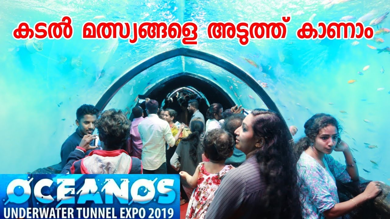 Oceanos underwater tunnel expo 2019 | ECO OWN MEDIA | Vlog 001