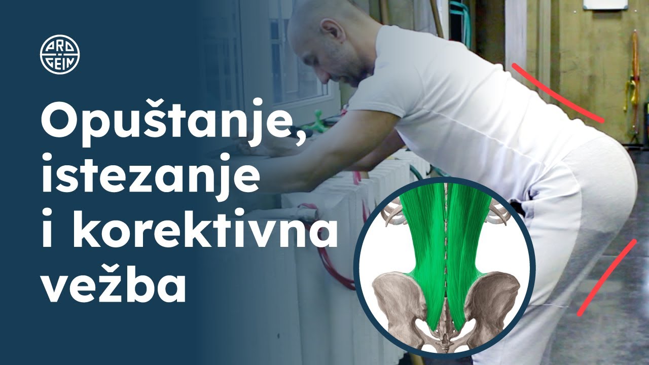 Bol u donjem delu leđa - zategnuta zadnja loža | PROGEIN 2022