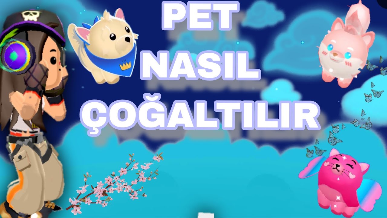 Pet nasıl çoğaltılır???