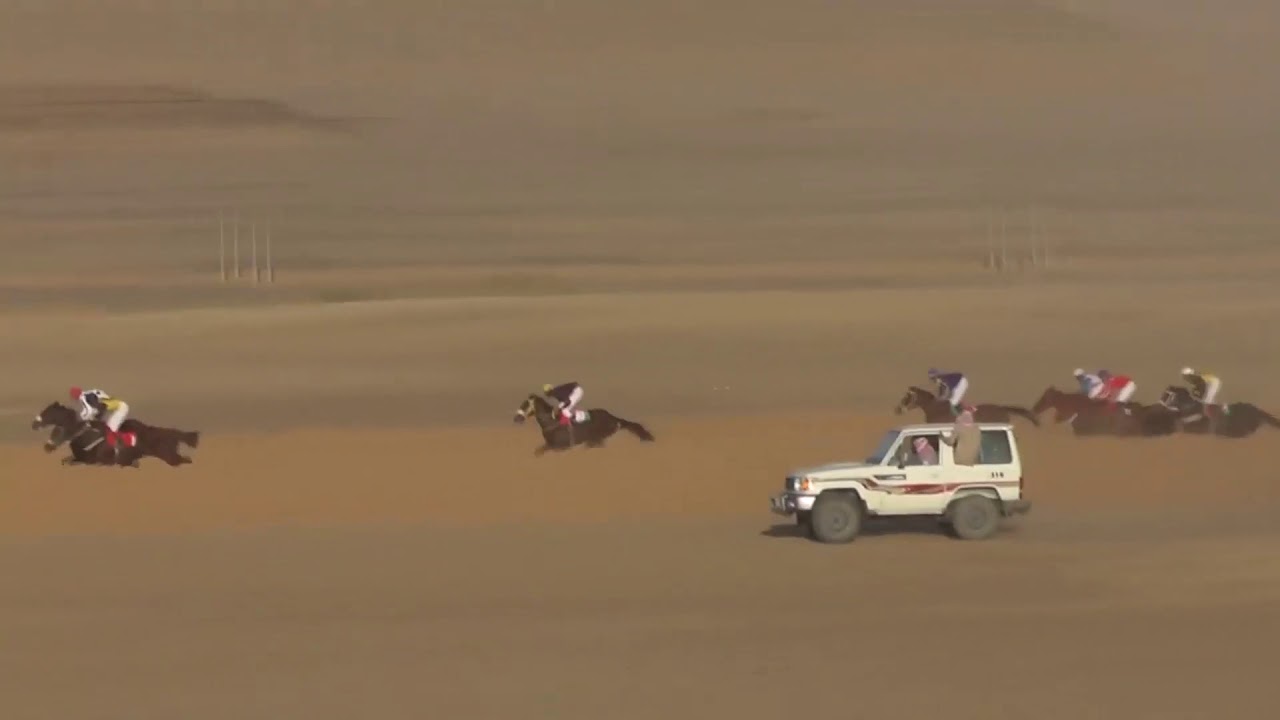 الحفل التأهيلي الثاني الشوط الثاني الكأس مسافة 1800 م