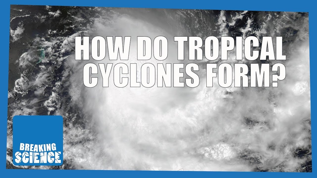 How Do Tropical Cyclone Form?