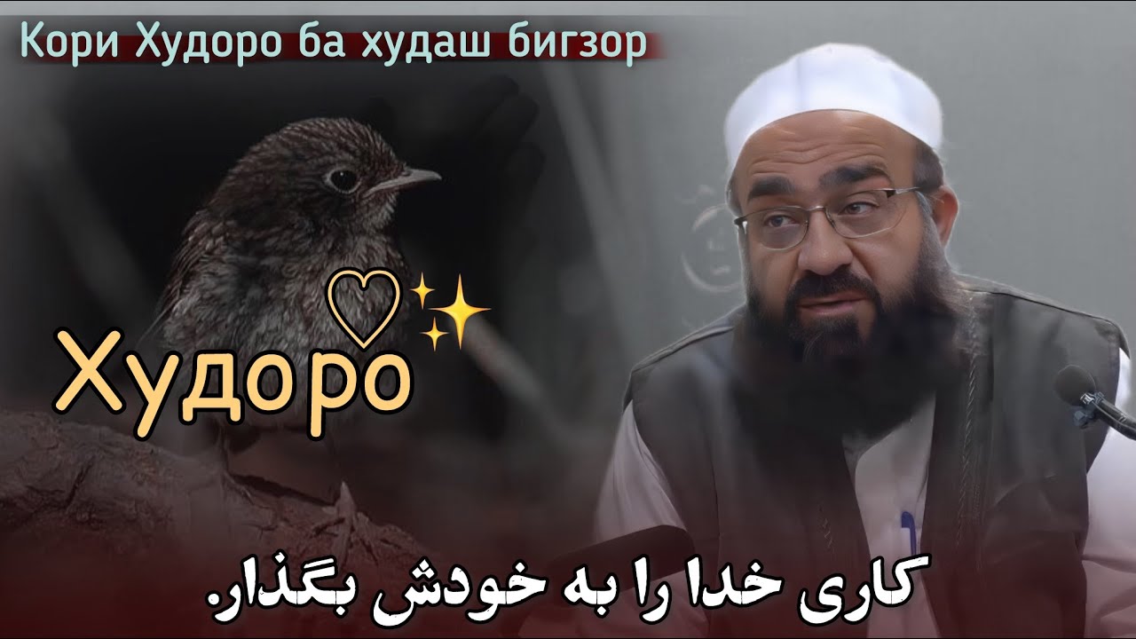 کاری خدا را به خودش بگذار خیر را نمی‌دانی.Кори Худоро ба худаш бигзор🎙️مولانا بهزاد فقهی