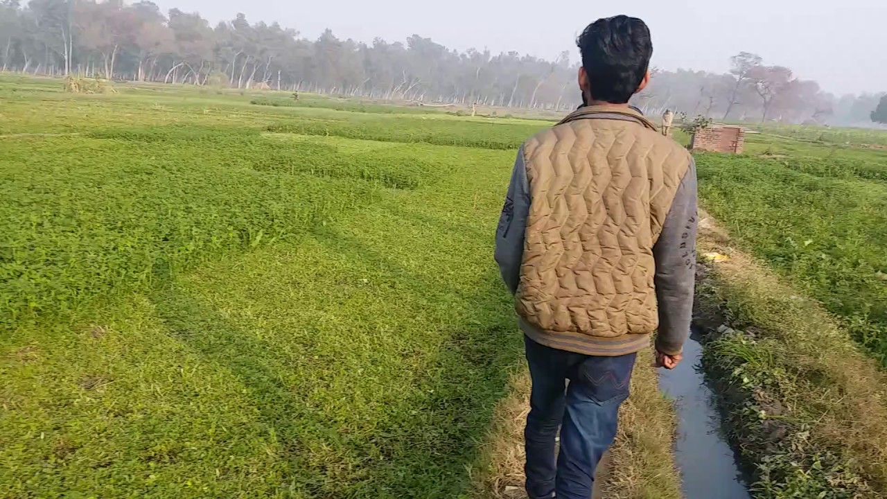 bara pind zafarwal