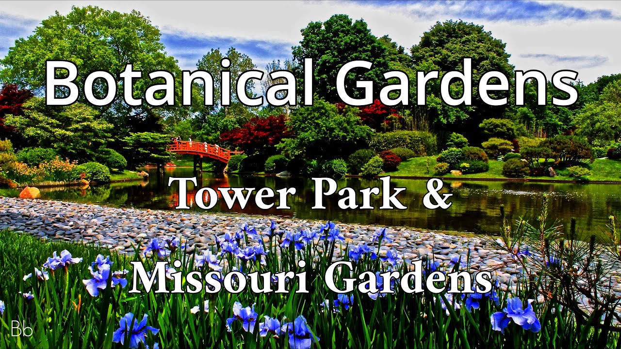 Saint Louis Botanical Gardens    Tower Grove and Missouri Gardens