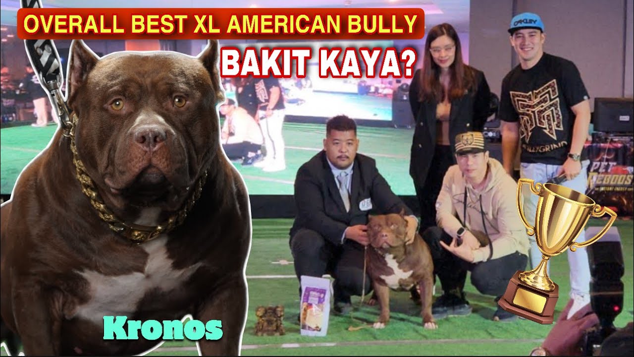 PANALO PARIN! FIRST TIME SUMALI NG USBR INTERNATIONAL BULLY SHOW! &bull; Sam Walastik