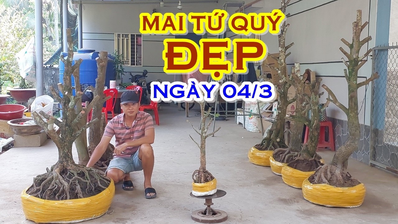 PHÊN 📲 O368831191 GIÁ TỐT - MAI TỨ QUÝ DÁNG ĐẸP GIAO LƯU NGÀY 04/3 