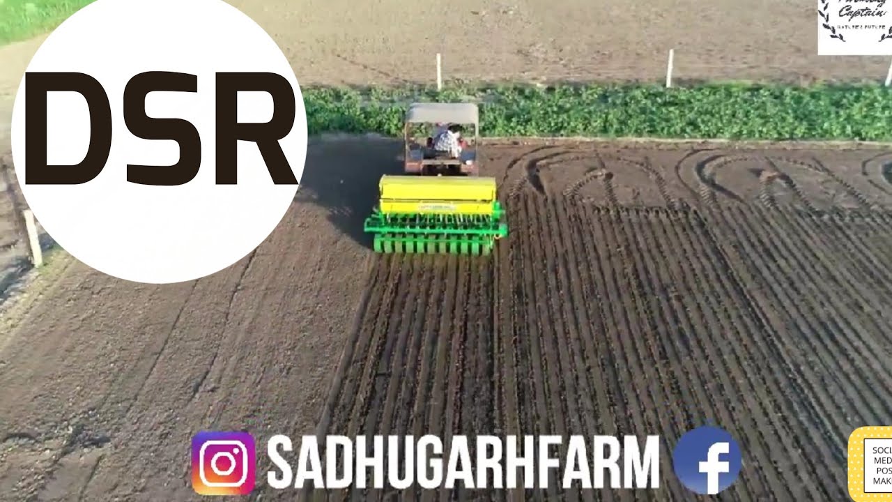 DSR - DIRECT SEEDING OF RICE | LUCKY SEED DRILL | PAU
