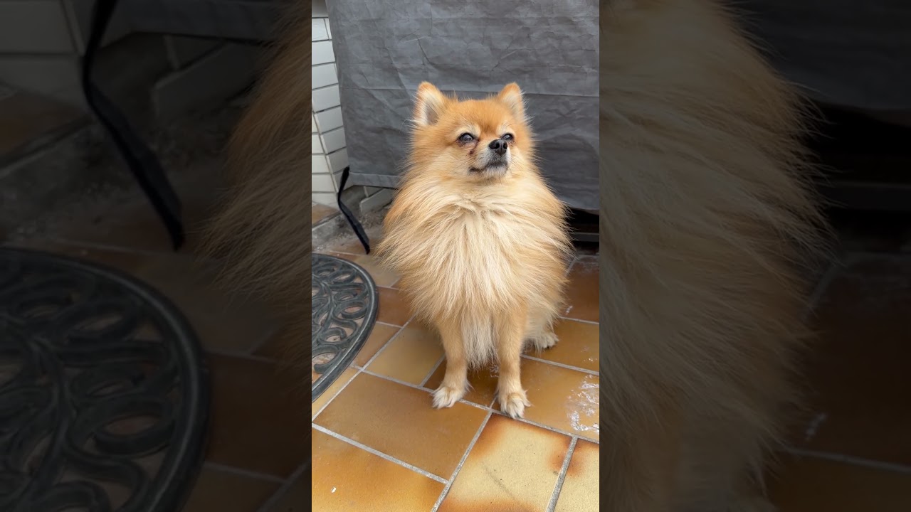 Er ist ein Bewacher