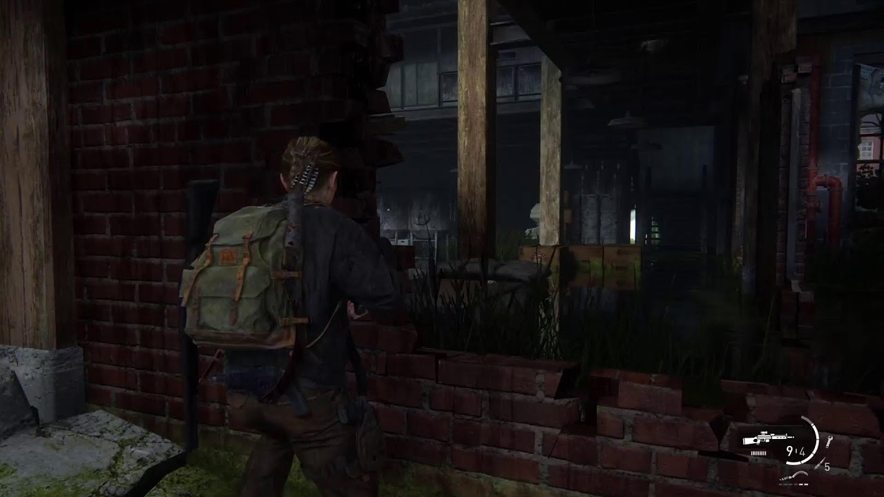 Last of Us ll Remastered