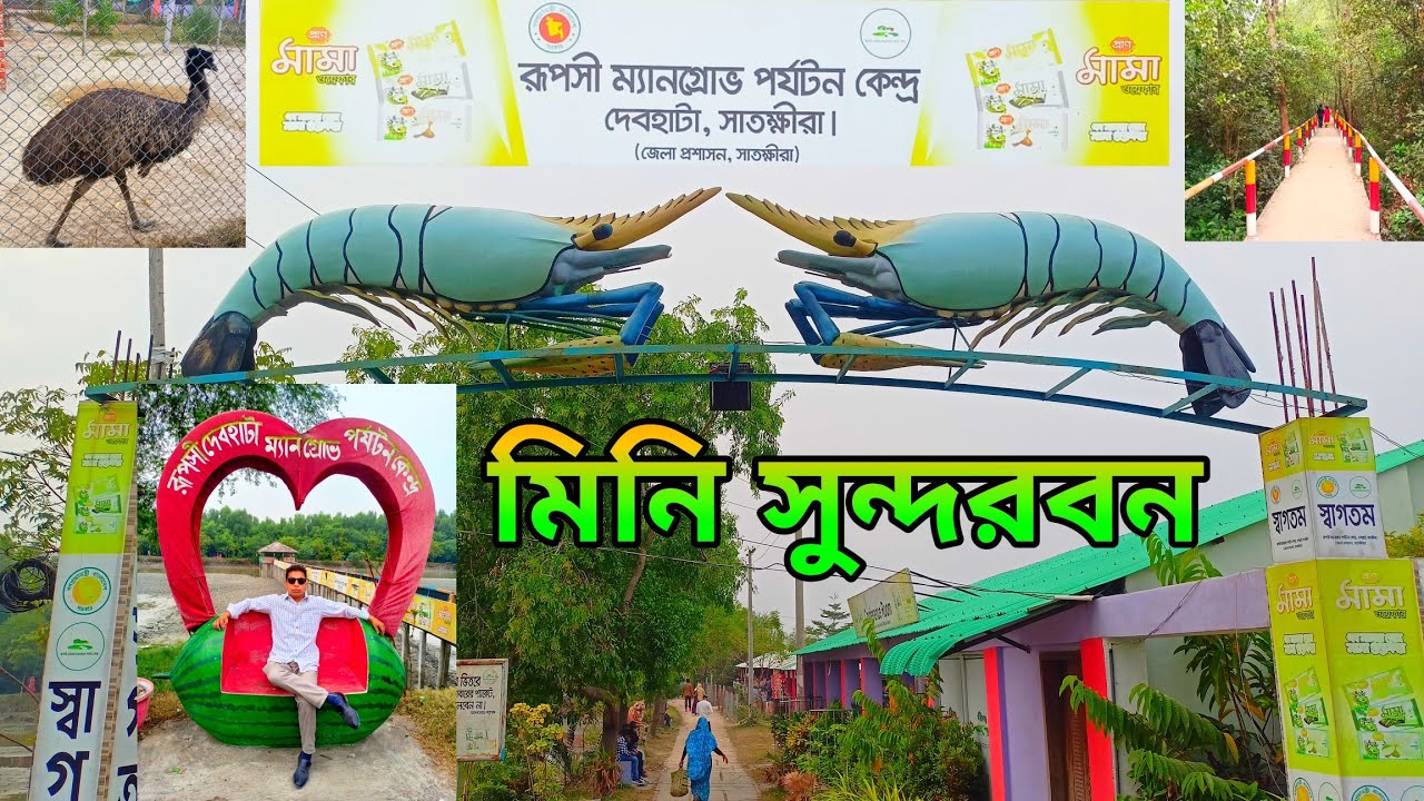সাতক্ষীরার মিনি সুন্দরবন | রূপসী দেবহাটা মিনি সুন্দরবন | Ruposhi Mangrove Forest | Debhata, Satkhira