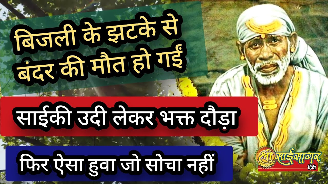 श्री साईउदी मृत बंदर को लगाई... फिर ऐसा हुवा जो सोचा नहीं...