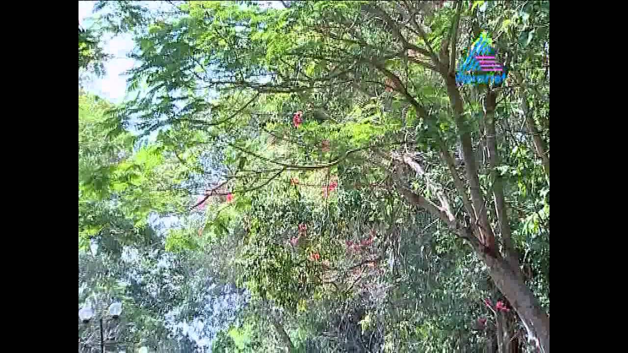 Harichandhanam ഹരിചന്ദനം - 24-02-12.