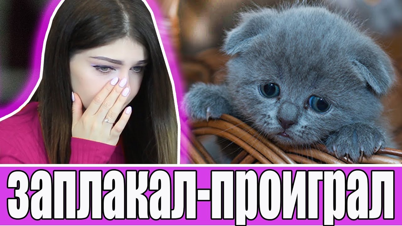 ЗАПЛАКАЛ - ПРОИГРАЛ: ВЫ БУДЕТЕ ПЛАКАТЬ ВМЕСТЕ С НАМИ | ВТОРАЯ ЧАСТЬ