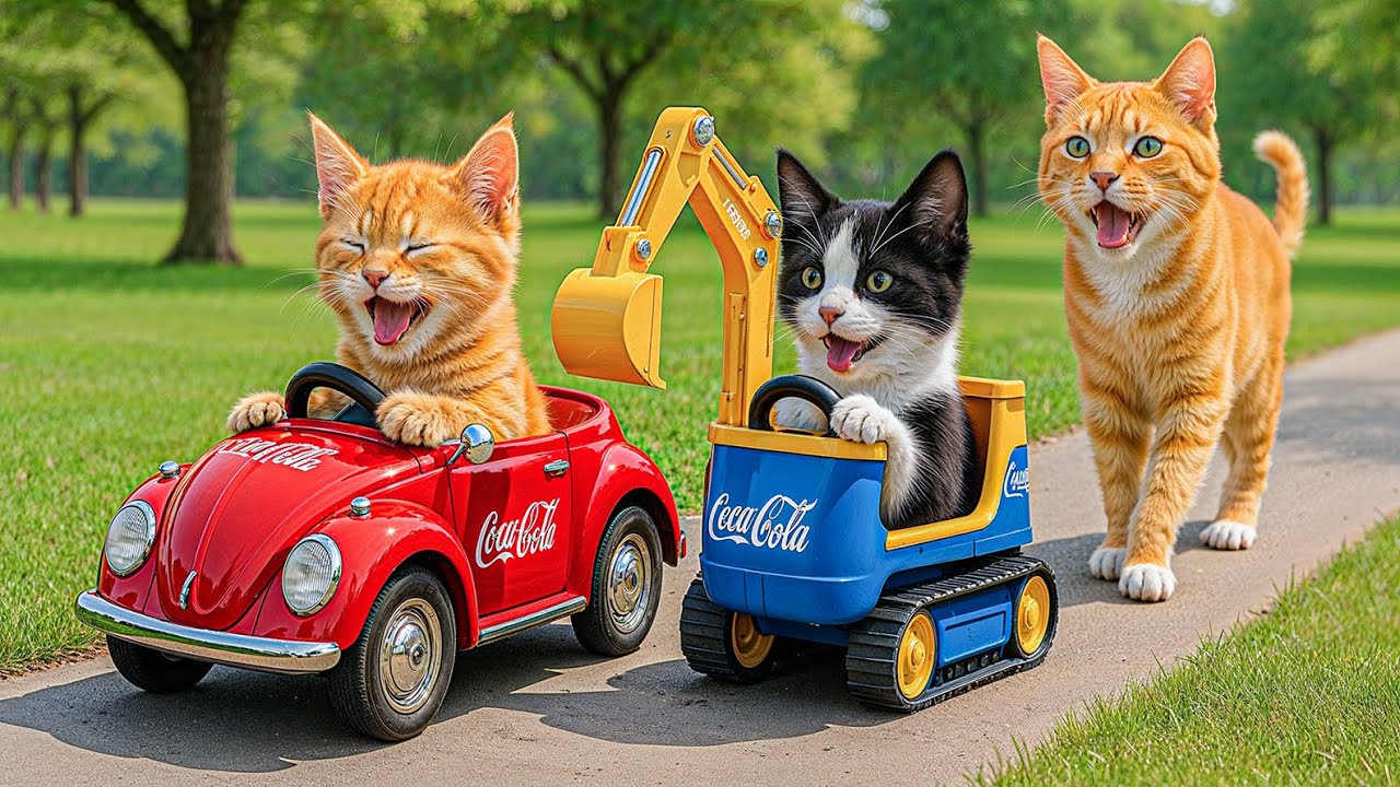 Mama Cat & Kitten Build a Cute Toy Excavator from Recycled Cans 🐱💚 Creative Healing Video