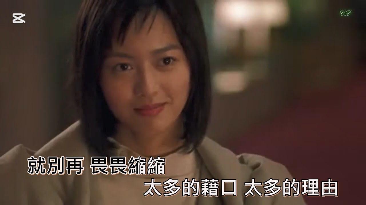 太多 陳冠蒲 MV (Lyrics, KTV字幕)