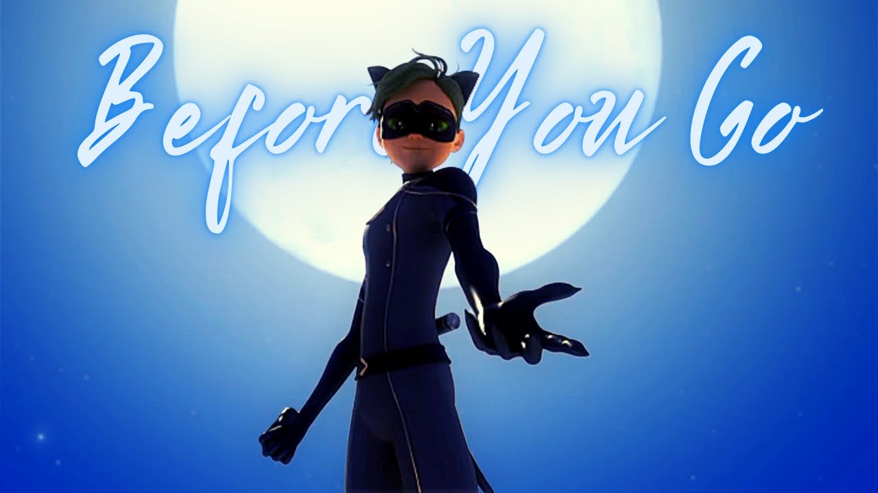 Before You Go || Ladybug & Catwalker/Chatnoir