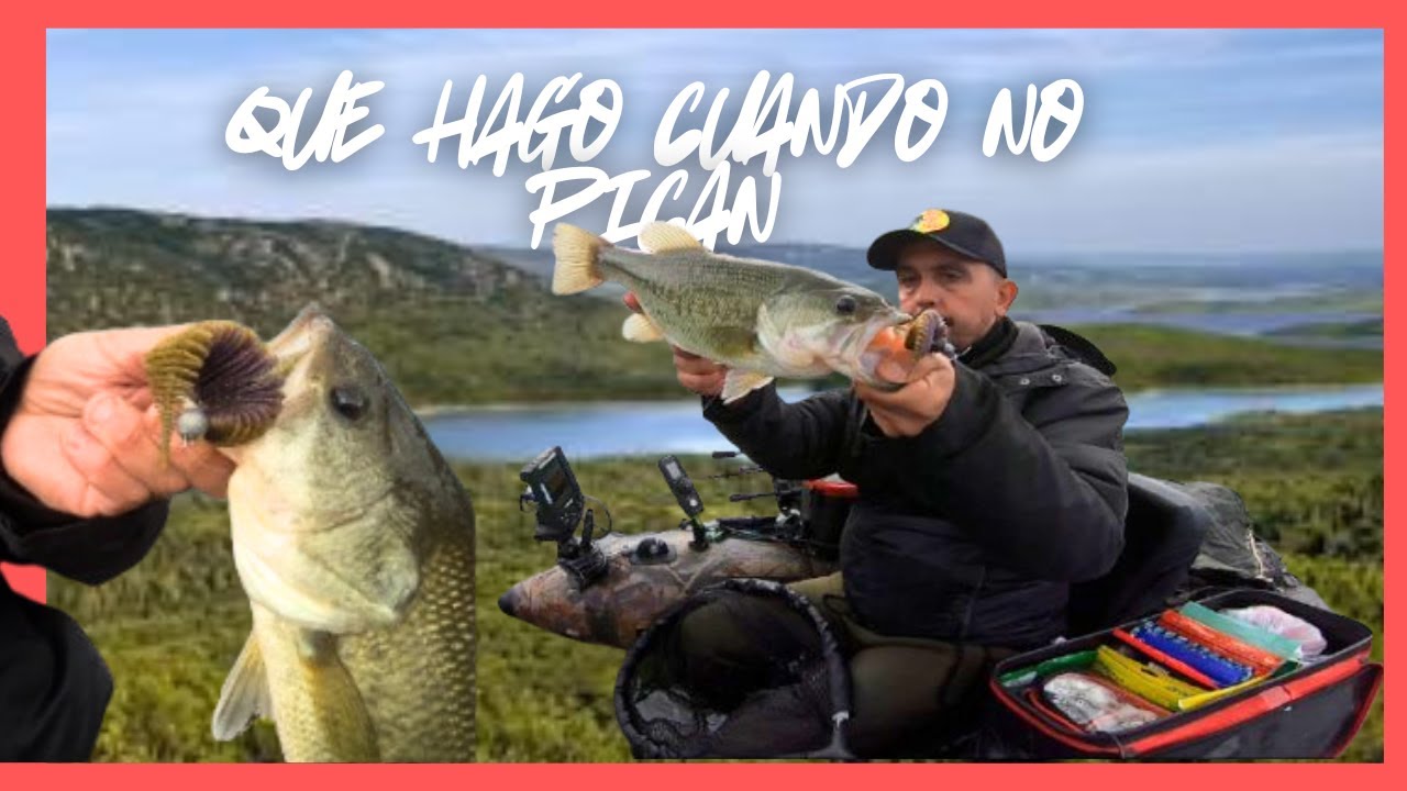 As&iacute; RESUELVO una jornada DIFICIL de PESCA