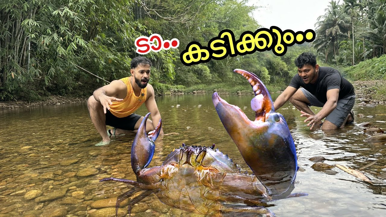 EASY CRAB HUNTING AND COOKING | പുഴ ഞണ്ടിനെ കൈ കൊണ്ട് പിടിക്കാം | Fishing freaks
