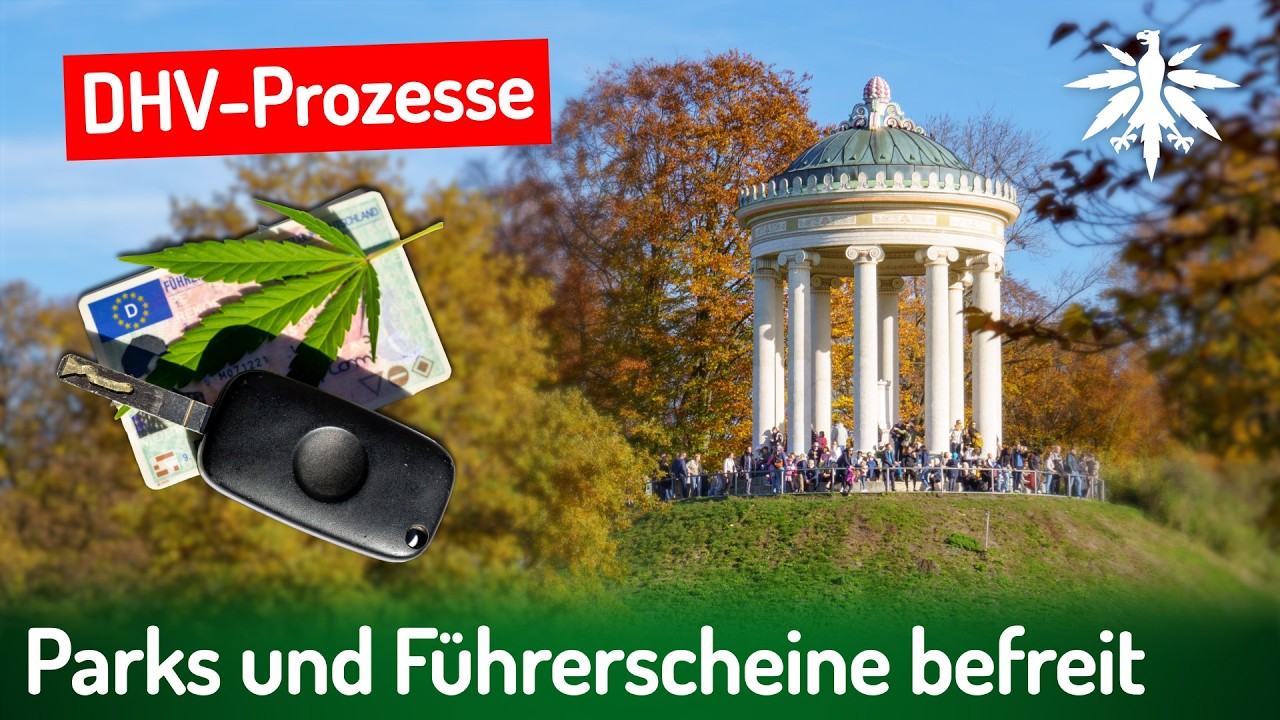 DHV-Prozesse: Parks und Führerscheine befreit | DHV News # 497