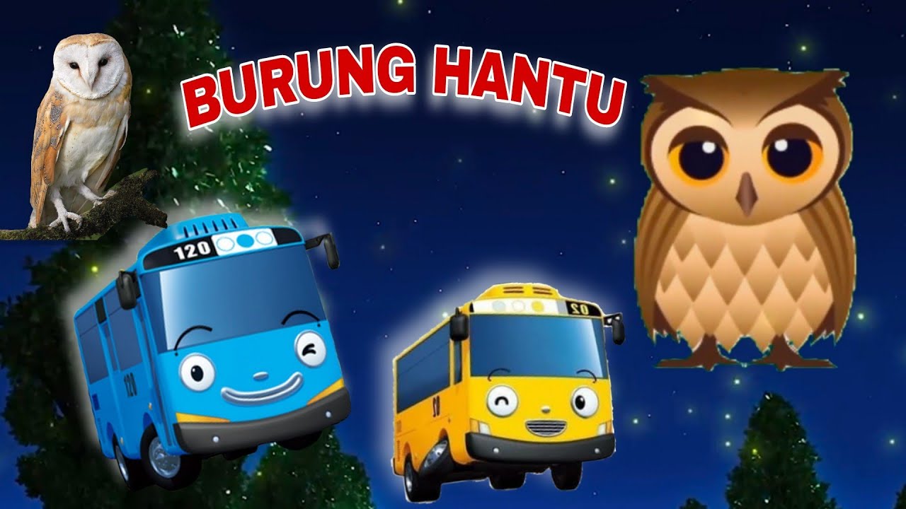 BURUNG HANTU 🎶 LAGU ANAK  VIRAL versi TAYO 🎶 lagu tayo terbaru