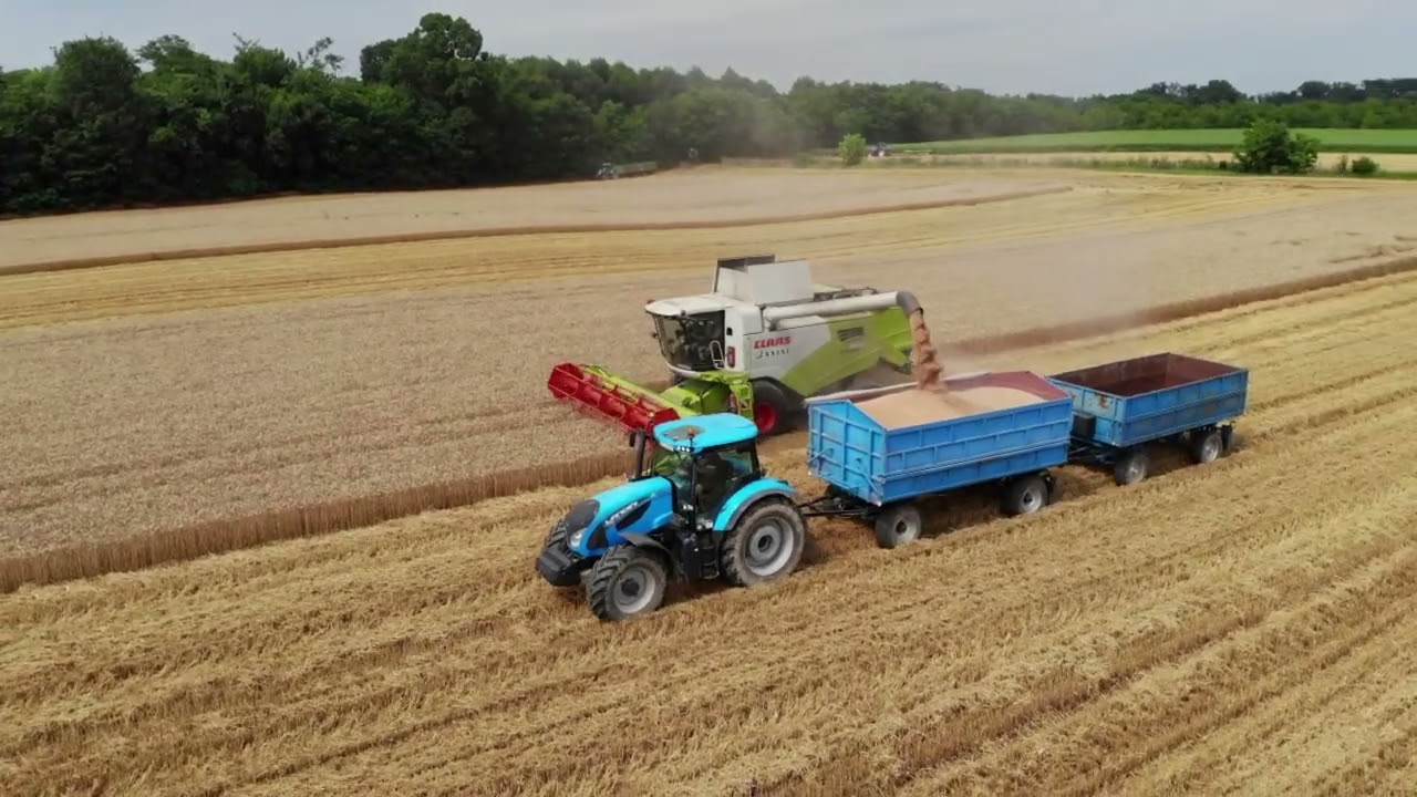 Claas Tucano 450 - Őszi búza betakarítás