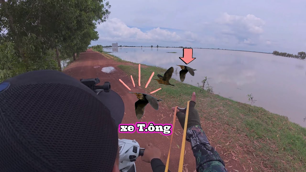 MÉT 72 - VỪA CHẠY XE BEM CÒ CHÚ CÒ TỰ LAU ĐẦU VÀO XE CÓ MỘT KHÔNG HAI