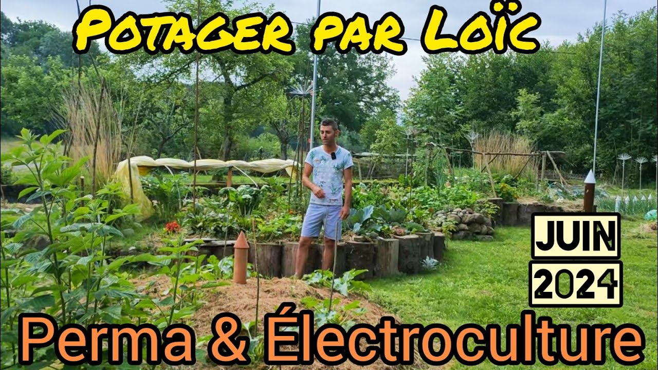 POTAGER par Loïc - Perma & Électroculture - 7 JUIN 2024