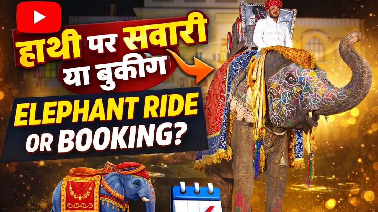 Elephant🦣booking Jaipur #elephantslive #live #shortfeed #livevideo #livejaipur #liveride #jaipurcity