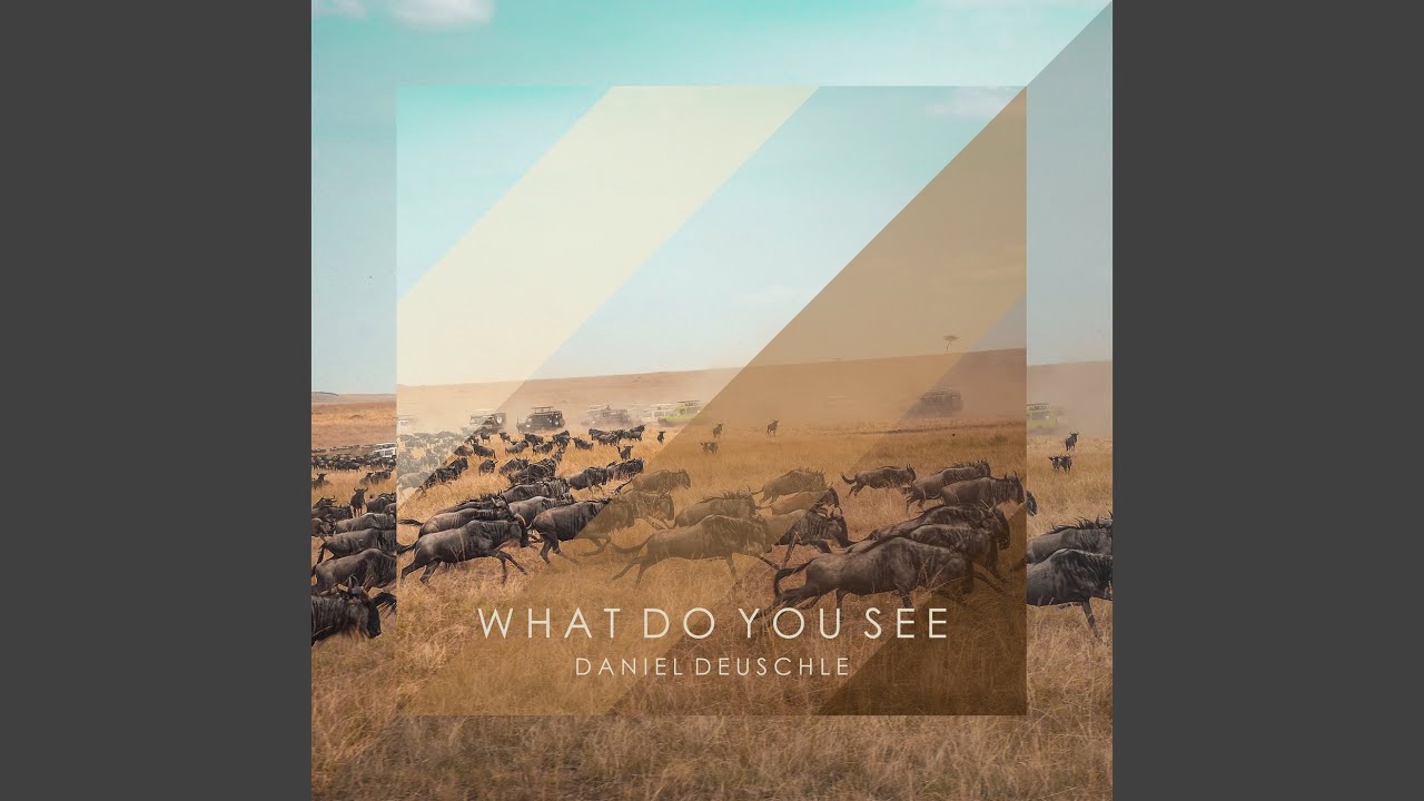 What Do You See