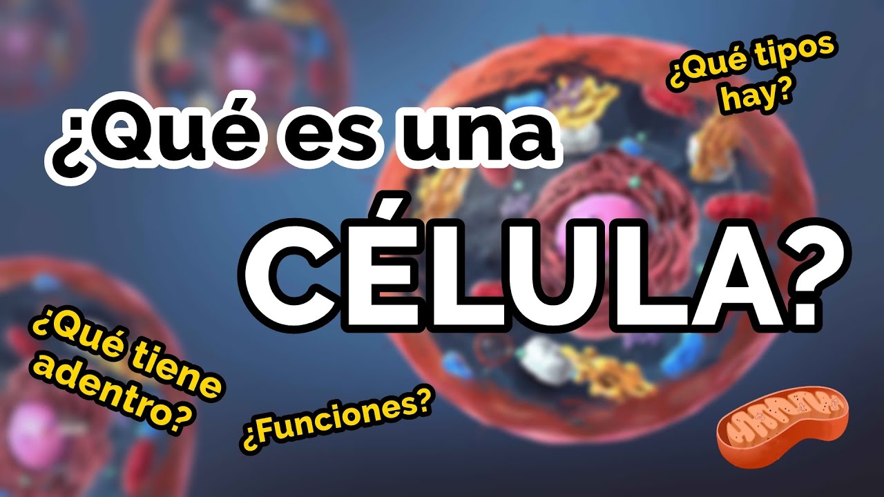 TODO lo que necesitas saber de las CÉLULAS 🧫🔍