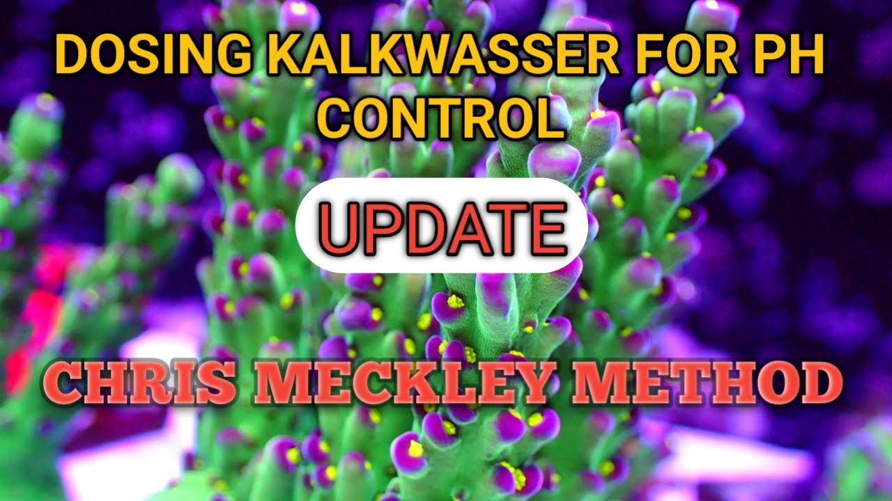 Dosing Kalkwasser | Chris Meckely Method Update