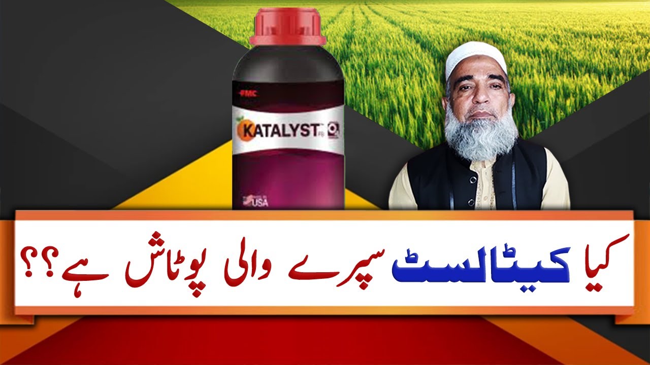Is Katalyst (FMC) a Sprayable Potash || Crop Reformer